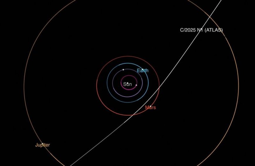 Newly discovered comet from outside our Solar System makes rare visit