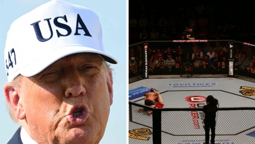 Donald Trump Announces UFC Fight at White House to Celebrate America's 250th Birthday