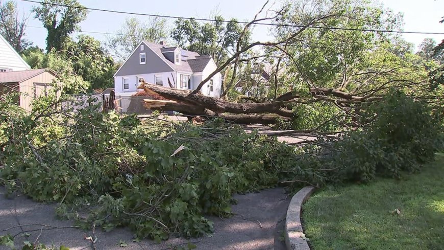 Deadly storm hits New Jersey, town cancels 4th of July event
