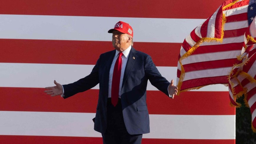 Donald Trump Plans UFC Fight at White House for July 4 Celebrations