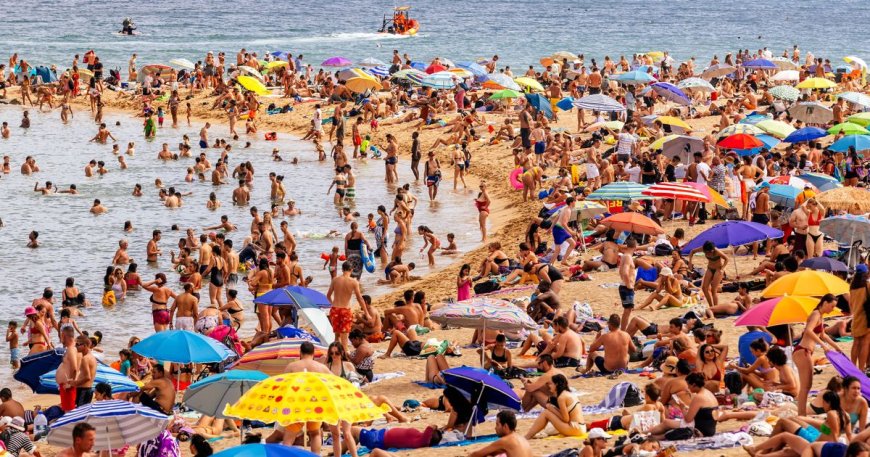 Warning: Brits Urged to Avoid Overusing Popular Vitamin D Supplements