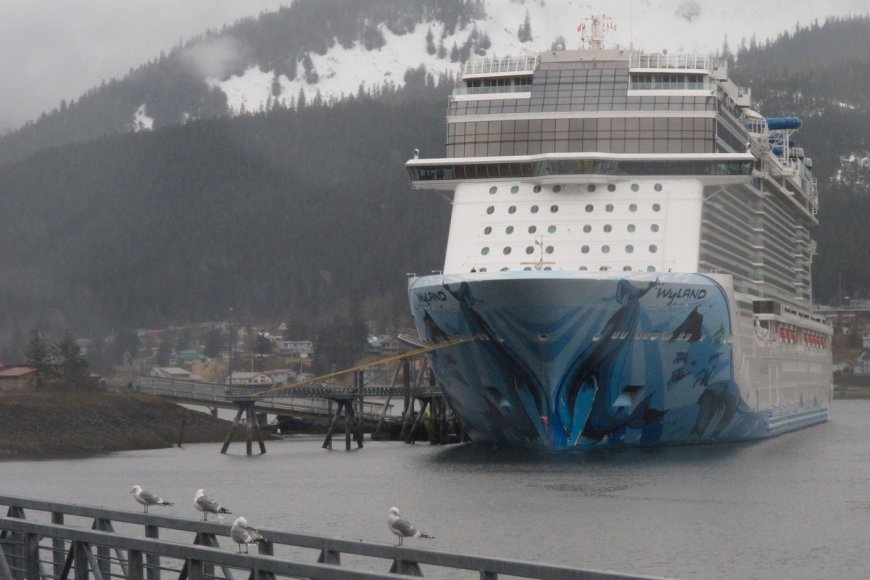 Woman Missing After Leaving Cruise Ship for Hike in Alaska