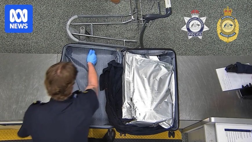 Four Women Arrested in Brisbane Over Alleged Cocaine-Smuggling Attempt with Vinegar and Chilli-Soaked Towels