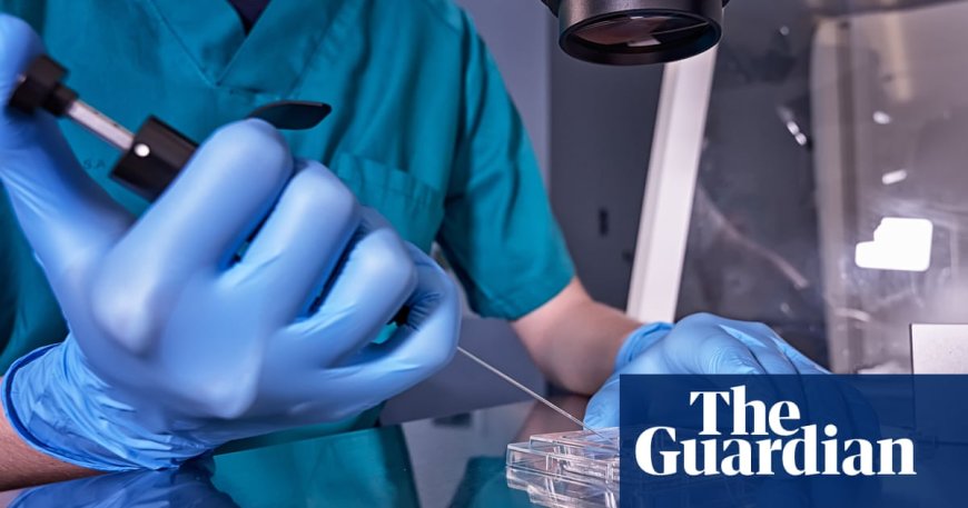 Lab-Grown Sperm and Eggs on the Horizon, Scientists Say