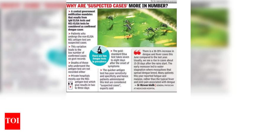 Pune Hospitals See Increase in Dengue Cases as Monsoon Arrives Early