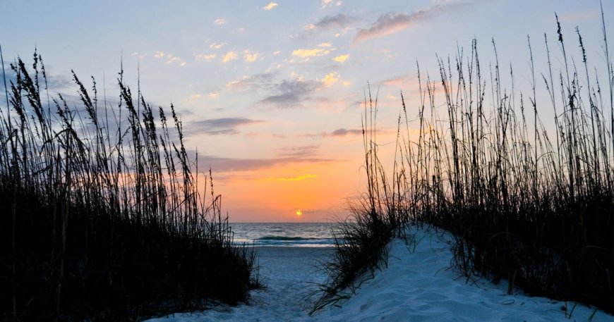 Family Struck by Lightning on Florida Beach; Teen Girl Hospitalized