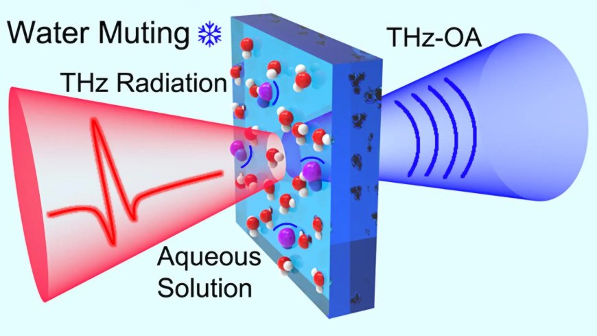 New Device Tracks Blood Sodium Levels Without Needles