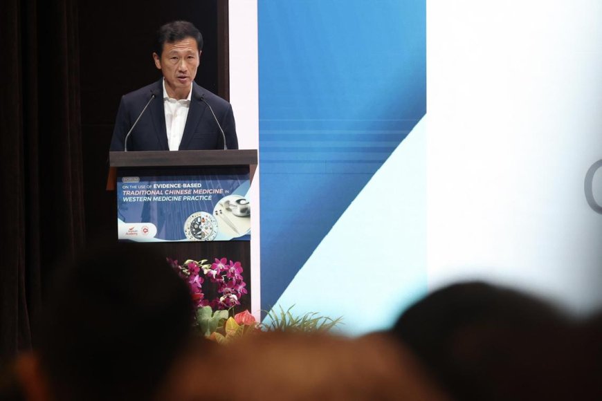 Singapore Health Ministry Evaluating 18 TCM Proposals for Public Healthcare Integration