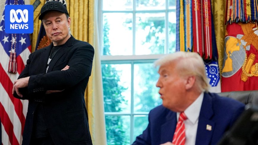 Elon Musk Forms 'America Party' Amid Feud with Donald Trump