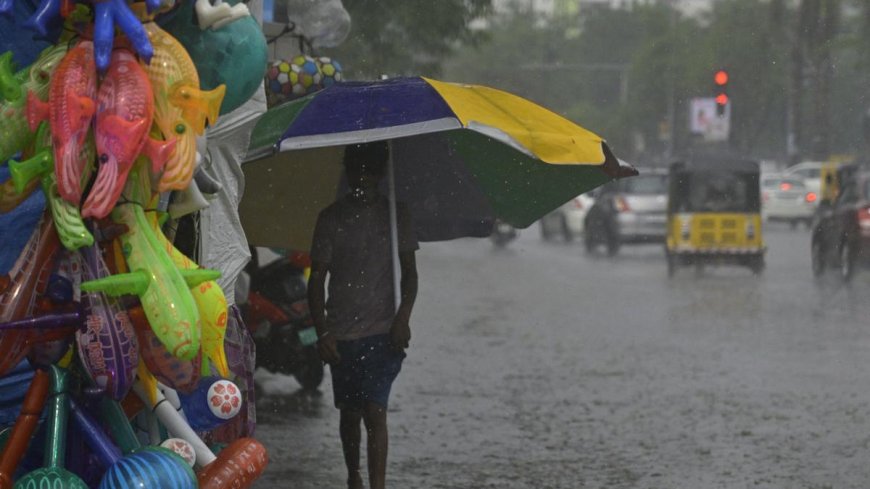 Telangana Health Department Issues Monsoon Illness Warning