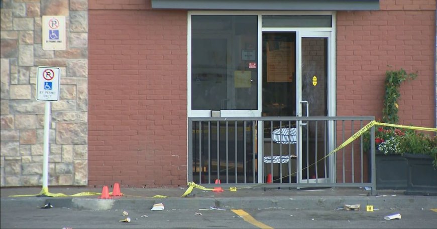 Young Male Fatally Stabbed Near Woodbine Park in Toronto