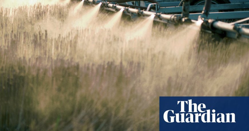Research Shows Weedkiller Ingredient in US Can Harm Organs and Gut Bacteria