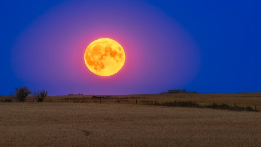 Buck Moon 2025: How to See the Lowest and Farthest Full Moon of the Year