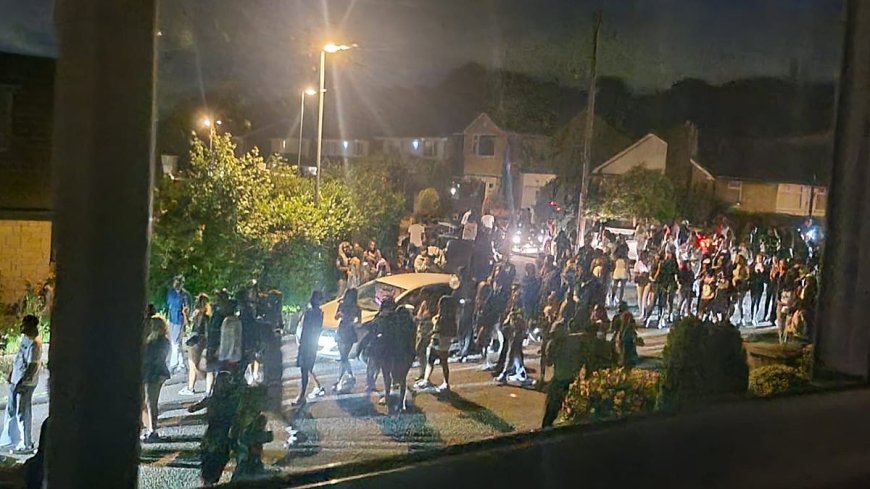Airbnb Holiday Home Trashed by 200-Person Gender Reveal Party