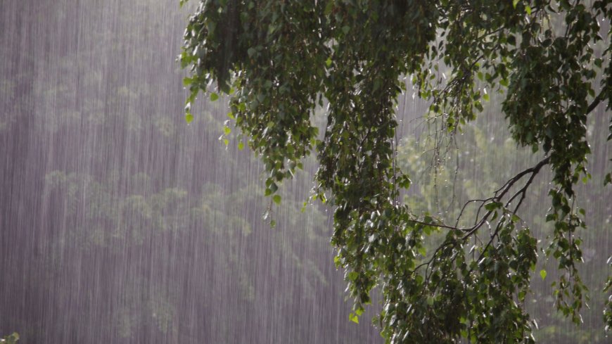 Local Government Units Suspend Classes on July 7 Due to Bad Weather