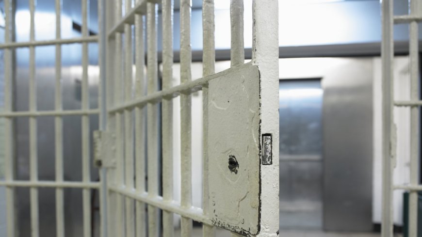 Advisory Group Suggests Closing Arbour Hill Prison in Dublin