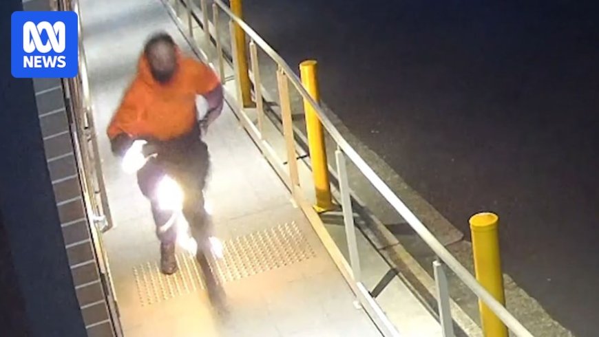 Police Search for Suspected Arsonists in Failed Attack on Sydney Beauty Clinic