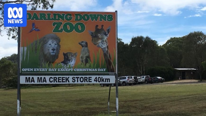 Woman Bitten by Lion at Darling Downs Zoo Undergoing Surgery