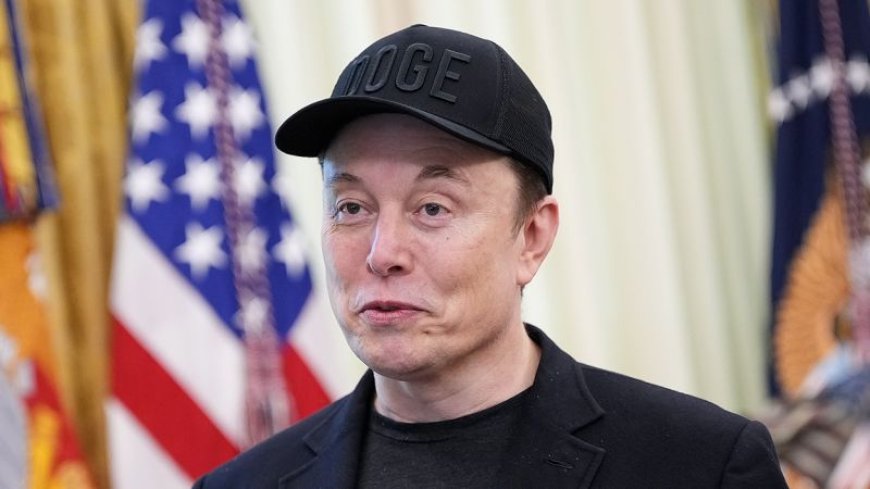 Tesla Stock Drops as Trump Criticizes Musk's New Political Party