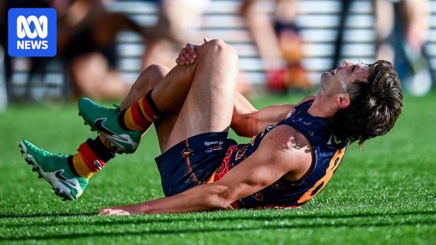 Adelaide's Josh Rachele avoids ACL injury, Port Adelaide's Sam Powell-Pepper not as fortunate