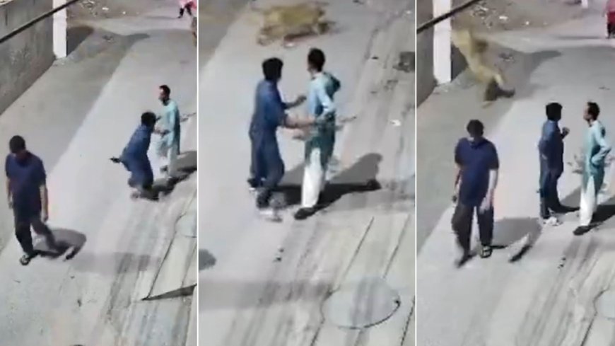 Pet lion escapes Lahore farmhouse, attacks family in shocking incident