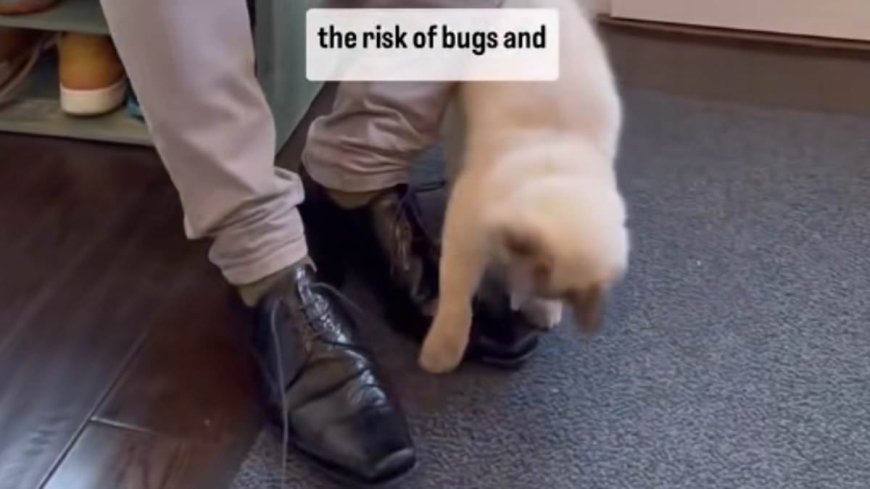 Warning: Not Taking Off Shoes at Home Could Lead to Deadly Infections, Says Top Doctor