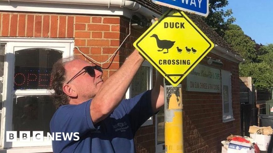 Aldbourne Villagers Take Action to Protect Family of Ducks