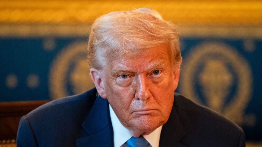 Trump Reverses Decision, Agrees to Resume Arms Deliveries to Ukraine