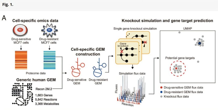 Study Identifies Potential Gene Targets to Overcome Drug Resistance in Breast Cancer