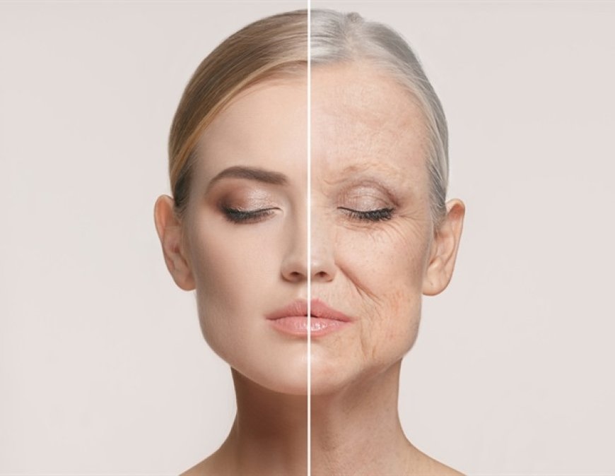Oral Lysozyme: A Potential Solution for Vascular Aging Linked to Gut Health