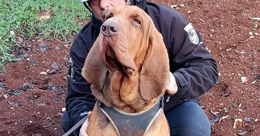 Outrage in Italy over Killing of Heroic Police Bloodhound