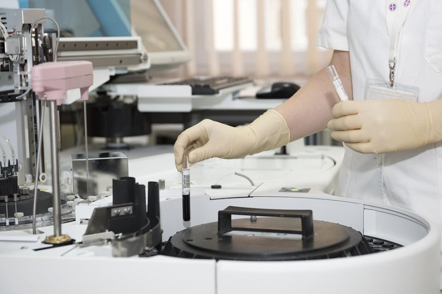Study on Gut Bacteria in Elderly Patients with Hepatitis E
