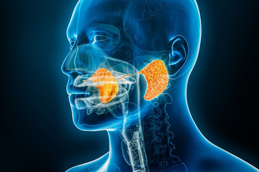 Gene Variation Boosts Salivary Enzymes in Diabetics: Study Reveals