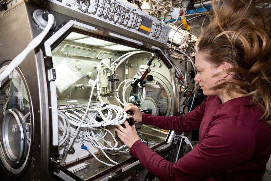 NASA Astronaut Nichole Ayers Conducts Microgravity Experiment on International Space Station