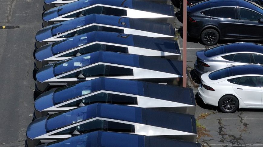 Tesla's Challenges Go Beyond Elon Musk's Political Controversies