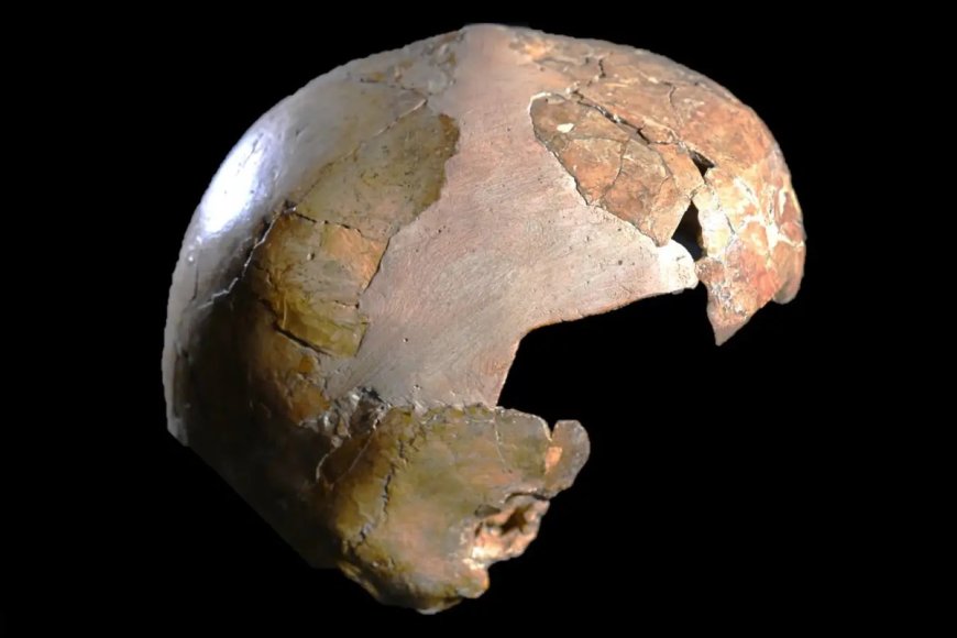 Skull of 'Half Human, Half Neanderthal Girl' Found in Israel