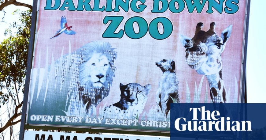 NSW Woman Loses Arm in Lion Attack at Queensland Zoo, Family Shares Emotional Journey