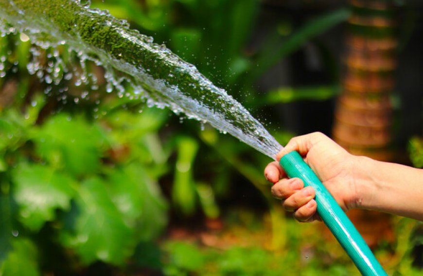 Drought Alert: Public Urged to Conserve Water in Several Counties