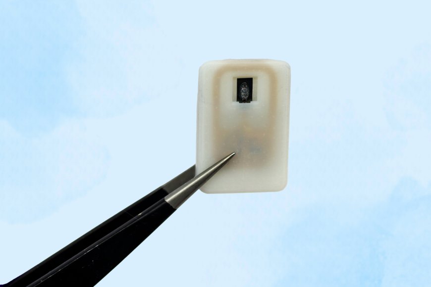New Implantable Device Offers Hope for Diabetes Patients