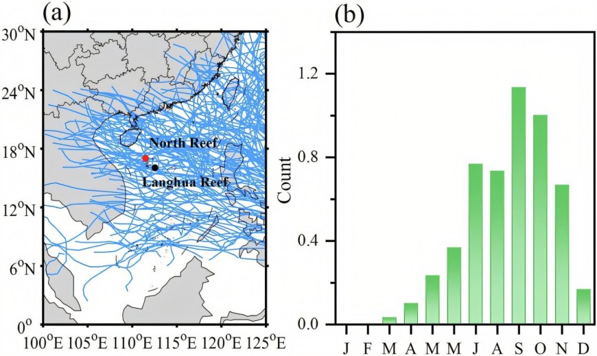 Ancient Shell Data Reveals Changes in Tropical Cyclone Patterns Over 3,000 Years