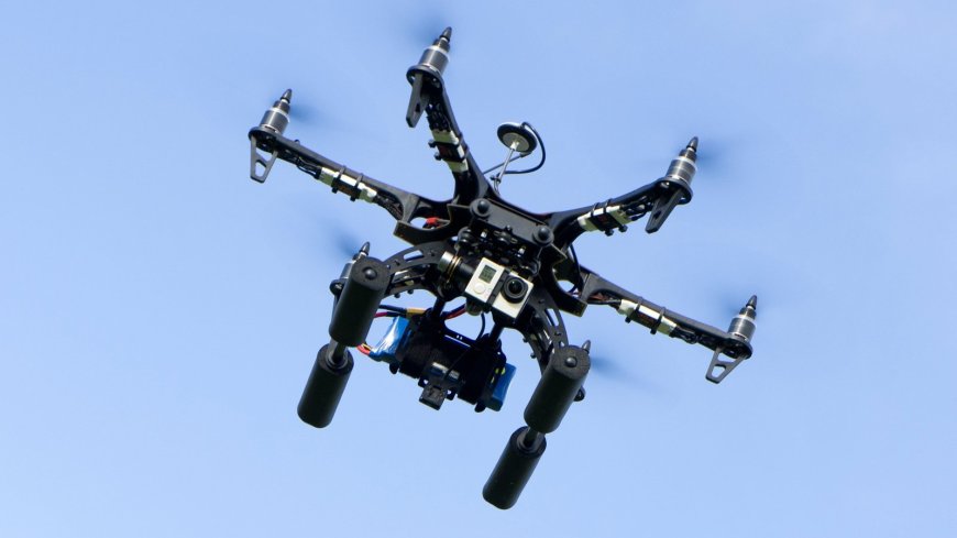 Call for Legislation to Address Drone Invasion in Gardens