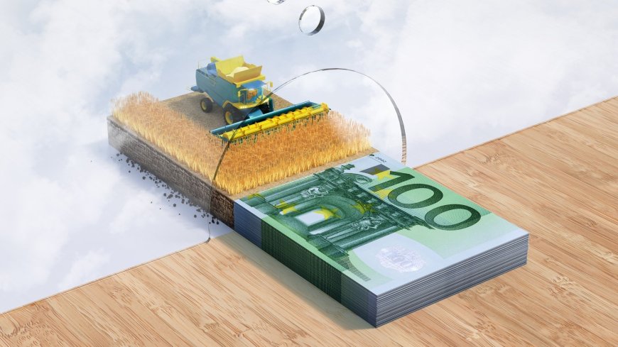 Irish Agricultural Entrepreneurial Income Surges by 73% in 2024
