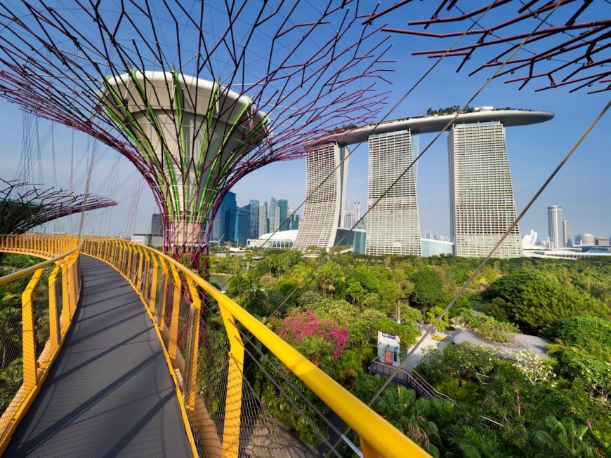 Singapore Shortens Wait Time for Wealthy Individuals Setting Up Family Offices