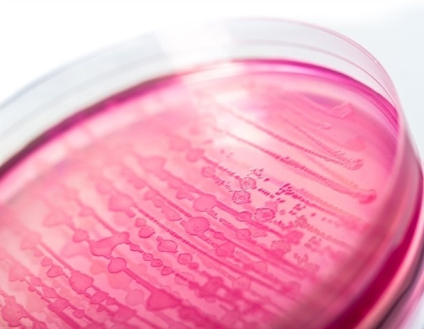 Australian Scientists Harness AI to Develop Protein Fighting Superbugs
