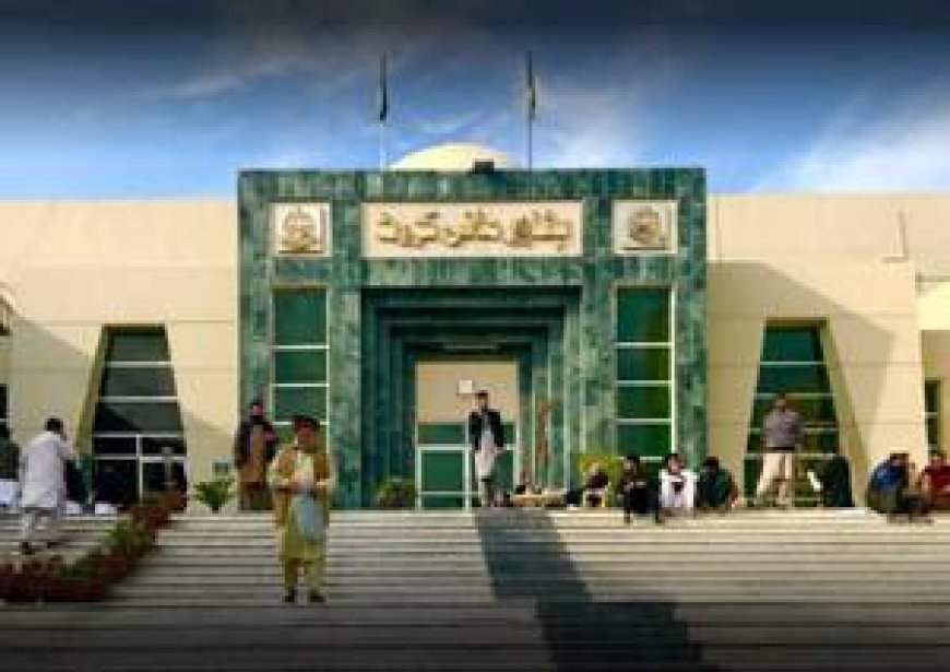 Peshawar High Court Blames Negligence for Swat Tragedy