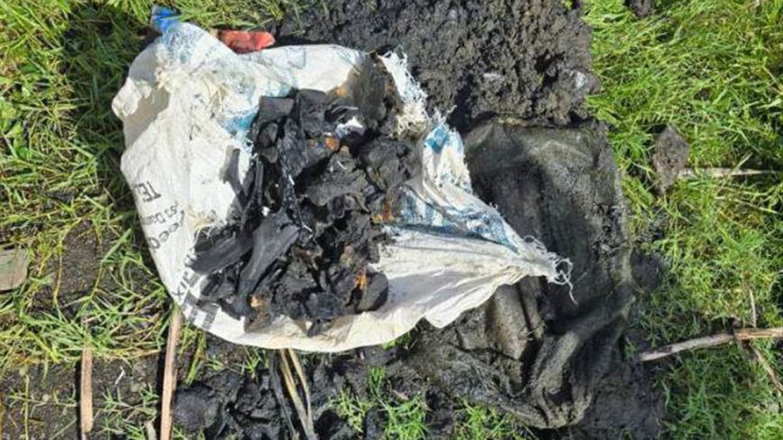 Discovery of Possible Human Bones Near Taal Lake During Search for Missing Cockfighting Enthusiasts