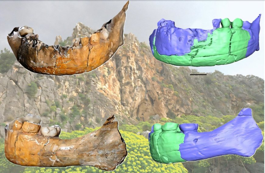 Skhūl I Skull Analysis: Unveiling Insights into One of the Oldest Human Burials