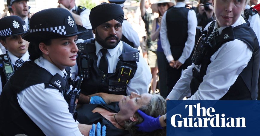 Met Police Arrest Protesters for Supporting Palestine Action in London