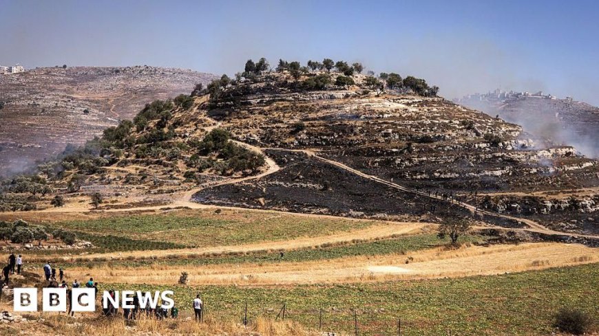Two Palestinians Killed in West Bank Settler Attack, Confirms Health Ministry