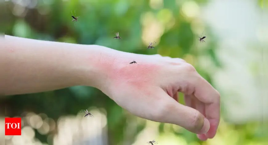 Understanding Why Viral Fevers, Dengue, and Typhoid Increase in Monsoon Season